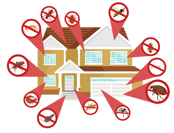 Pest control concept with insects exterminator silhouette flat vector illustration set